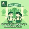Bộ đề thi luyện tập ĐGNL vào lớp 1 trường Marie Curie năm 2025
