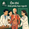 Bài tập thực hành & bài tập hình ảnh Giải phẫu người có đáp án
