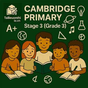 Cambridge Primary Stage 3 (Grade 3)