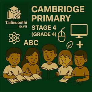 Cambridge Primary Stage 4 (Grade 4)