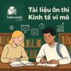 PDF Đề cương - Tiểu luận & Đề thi giữa - cuối kì môn Kinh tế vi mô UEF