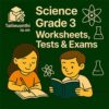 Science Beginning-of-year assessment Grade 3 Cambridge Primary with answer key