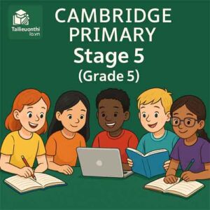 Cambridge Primary Stage 5 (Grade 5)