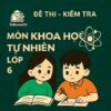 đề thi giữa học kì 2 môn Khoa học tự nhiên lớp 6 chương trình mới