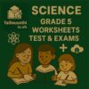 Science Grade 5 – Term 1 Test for Cambridge Primary with answer key