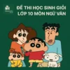 đề ôn thi bồi dưỡng học sinh giỏi lớp 10 môn Ngữ văn Hà Nội