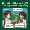 đề ôn thi bồi dưỡng học sinh giỏi lớp 10 môn Tiếng Trung cấp tỉnh/thành phố