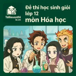 đề ôn thi bồi dưỡng học sinh giỏi lớp 12 môn Hóa học cấp tỉnh/thành phố
