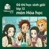 đề ôn thi bồi dưỡng học sinh giỏi lớp 12 môn Hóa học Hải Phòng