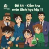 đề thi giữa học kì 1 môn Sinh học lớp 11 chương trình mới