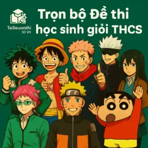 Đề thi Học sinh giỏi cấp THCS