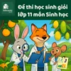 đề ôn thi bồi dưỡng học sinh giỏi lớp 11 môn Sinh học Hà Nội