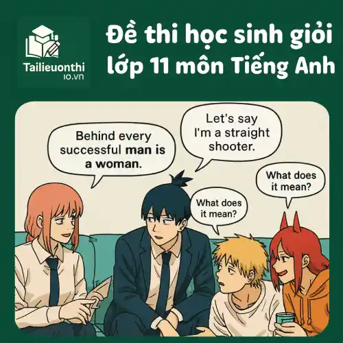 đề ôn thi bồi dưỡng học sinh giỏi lớp 11 môn Tiếng Anh cấp tỉnh/thành phố