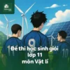đề ôn thi bồi dưỡng học sinh giỏi lớp 11 môn Vật lí cấp quốc gia