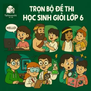 Đề thi Học sinh giỏi lớp 6