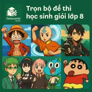 Đề thi Học sinh giỏi lớp 8