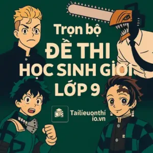 Đề thi Học sinh giỏi lớp 9