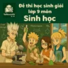 đề ôn thi bồi dưỡng học sinh giỏi lớp 9 môn Sinh học vòng cấp trường