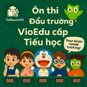 Đấu trường VioEdu Tiểu học