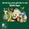 đề ôn thi bồi dưỡng học sinh giỏi lớp 12 môn Sinh học Hà Nội