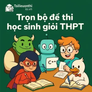 Đề thi Học sinh giỏi cấp THPT