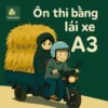 Đề thi mô phỏng thực hành kèm mẹo đỗ bằng lái xe A3