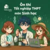 đề thi thử môn Sinh học Kỳ thi tốt nghiệp THPT 2026