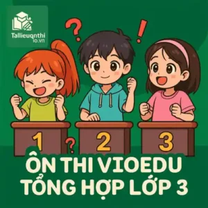 Đấu trường VioEdu Tổng hợp lớp 3